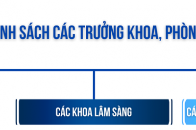 sơ đồ tổ chức